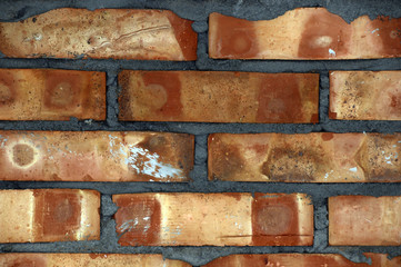 Fototapeta premium wall