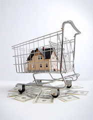 Suburban looking house in a shopping cart with money all around