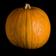Pumpkin isolated on a black background