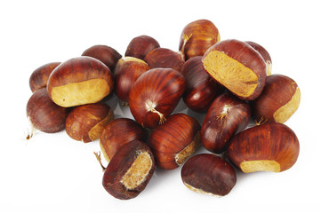 Castagne 29