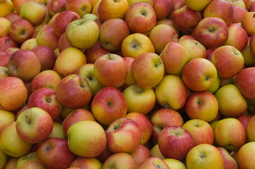 apfel