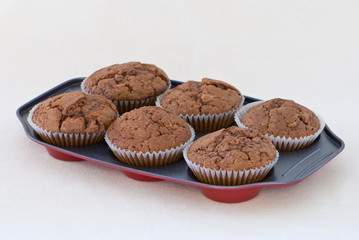 Tray of chocolate chip muffins freshly baked