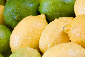 lemon lime orange fruit set close up and water drops in the set