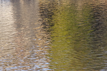 Fototapeta premium reflex