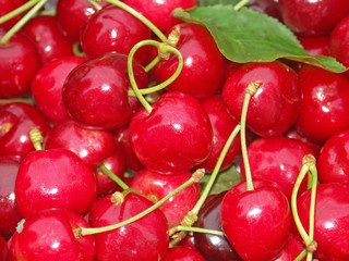 des cerises