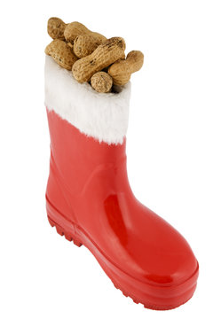roter Stiefel mit Erdn&uuml;ssen