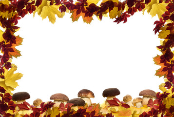 autumn leaves frame with mushrooms on white