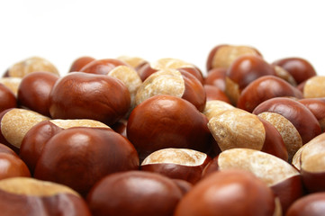 Conkers