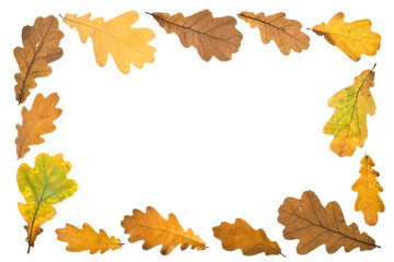 Frame from autumn leaves on a white background. Close-up.