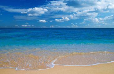 Tropcial blue water beach paradise