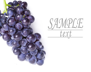 blue grapes on white background