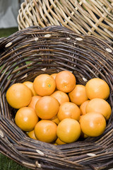 oranges in a basket