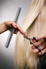professional hairdresser in the work