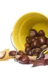 chestnuts spilling out from a yellow bucket