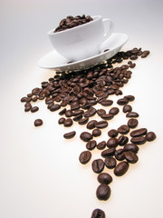 white color  cup and  plate filled with grains of coffee