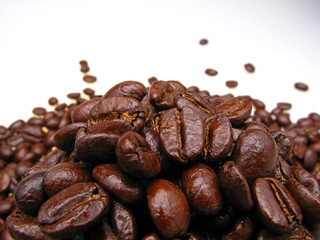 lot of grains of coffee darkly brown color