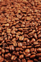 Coffe beans background
