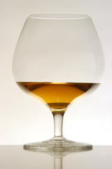 Brandy