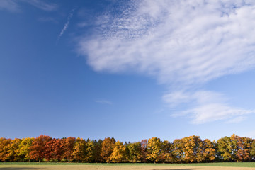 Fototapeta premium a beautiful colorful autumn landscape