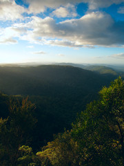 Fototapeta premium Beautiful view in Springbrook national park, Australia