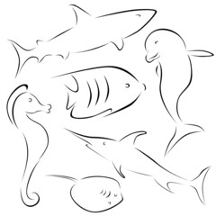 fish designs