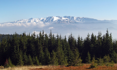 beautiful autumn mountain landscape