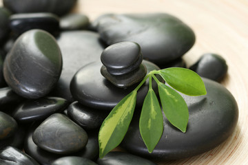 black pebbles and green leaves - beauty treatment