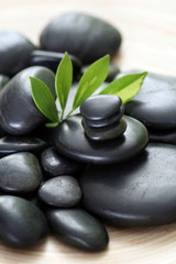Obraz na płótnie Canvas black pebbles and green leaves - beauty treatment