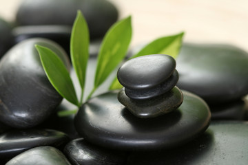 Fototapeta na wymiar black pebbles and green leaves - beauty treatment
