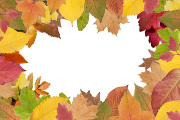 Herbstbild mit Rahmen
