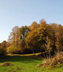 Naklejka premium alpage...lisière colorée