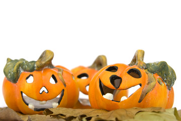 Little orange pumpkins on a white background
