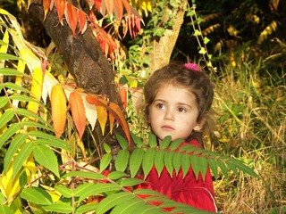 automne