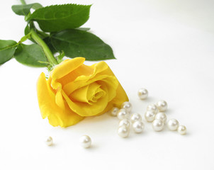 yellow rose and pearls