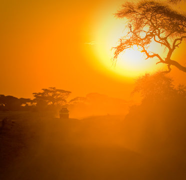 Fototapeta safari jeep driving through savannah in the sunset