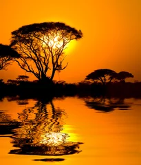 Foto op Canvas afrikaanse zonsondergang met reflectie, kenia © javarman