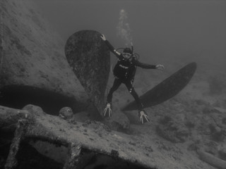 Diver at proppeler