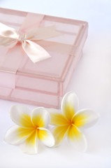 Composition of two flower and gift box on white background.
