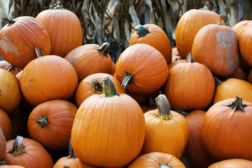 Pile of pumpkins