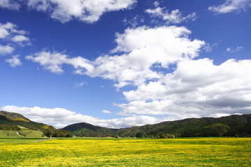 Pure sky, pure meadow