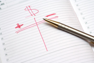 income and outlay at home budget.