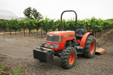 Obraz premium Tractor in vineyard