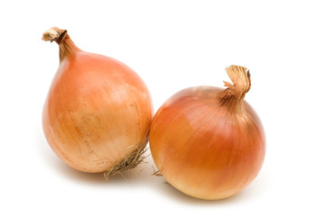 two onion on white background