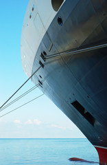 Cargo or cruise ship docked in port