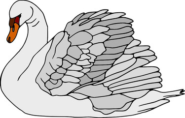 vector - swan isolated on white background