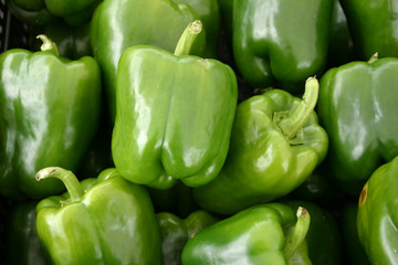 A large group of beautiful green peppers