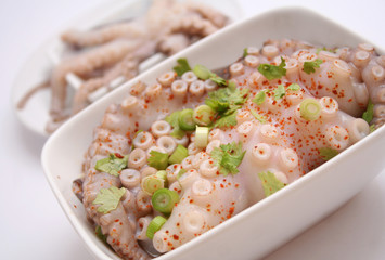 octopus