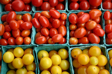 A bunch of small containers of cherry tomatoes