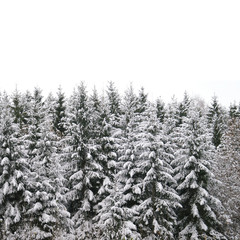 Naturlandschaft im Winter