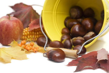 chestnuts spilling out from a yellow bucket